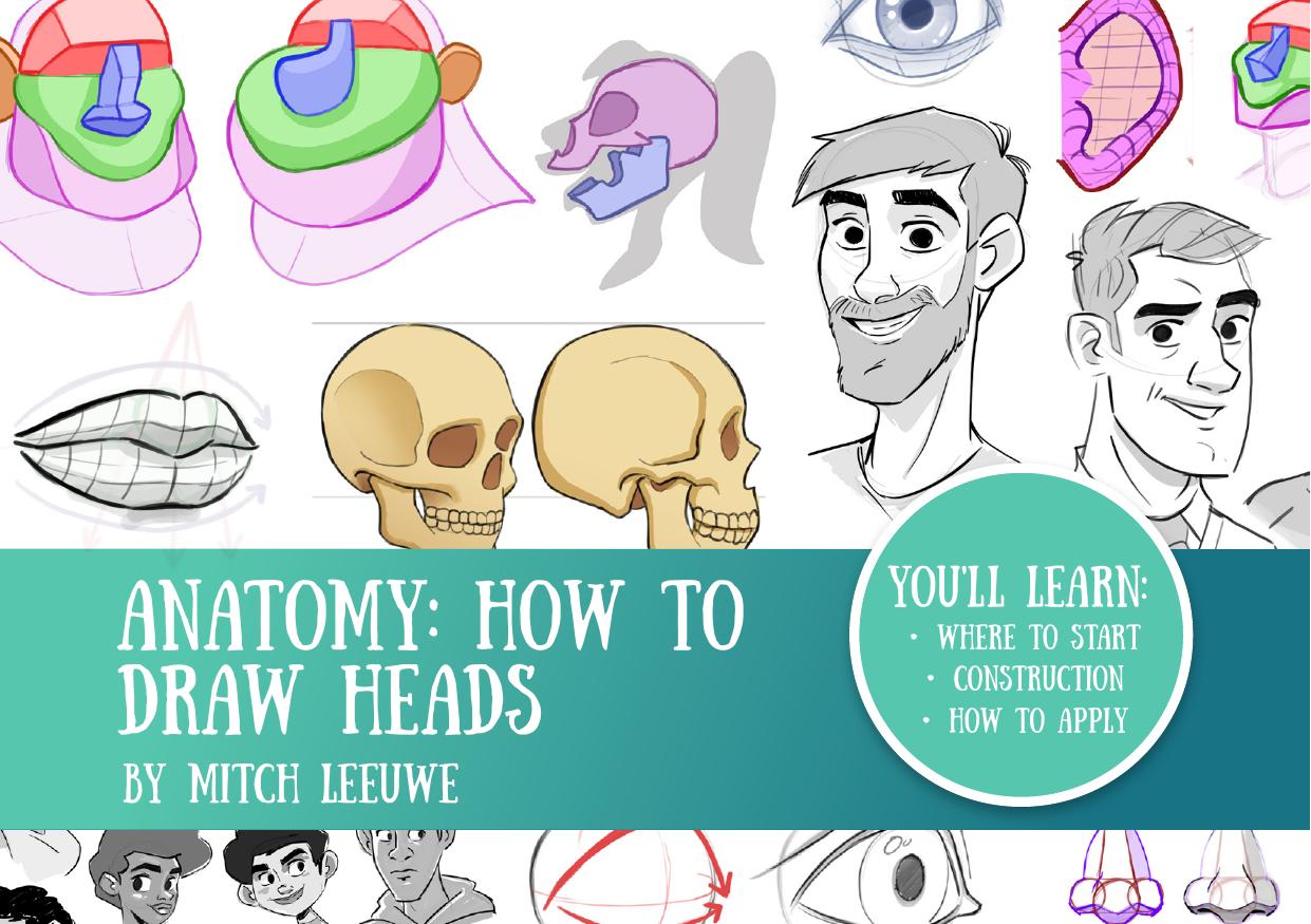 Anatomy how to draw the Heads by Mitch Leeuwe by Mitch Leeuwe (z-lib.org)
